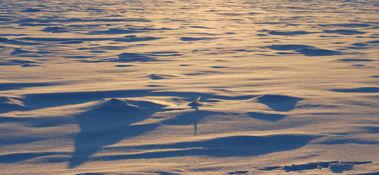 Similar image 21804326