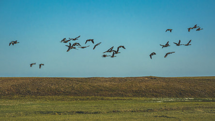 Similar image 21804481