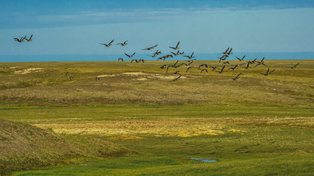 Similar image 21804482