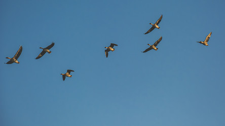 Similar image 21804483