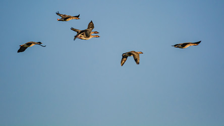 Similar image 21804489