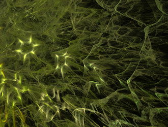 Similar image 21808937