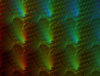 Similar image 21811071