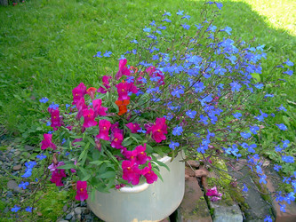 Similar image 21804740