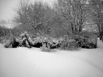 Similar image 21804744