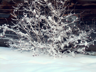 Similar image 21804754