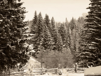 Similar image 21804758