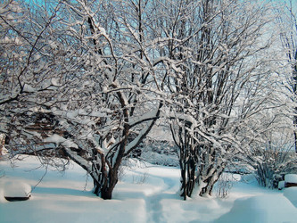 Similar image 21804767