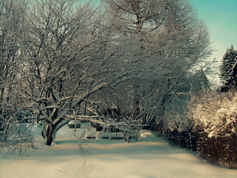 Similar image 21804769