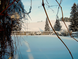 Similar image 21804771