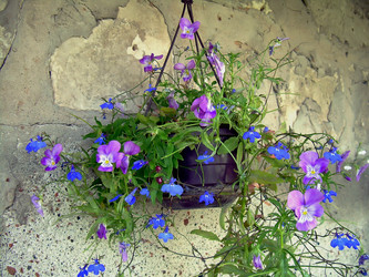 Similar image 21804774