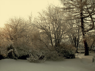 Similar image 21804775