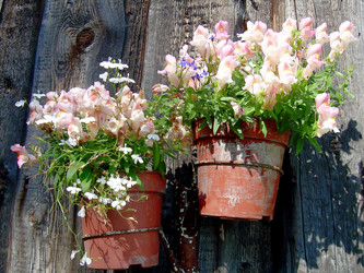 Similar image 21804776