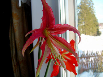 Similar image 21804777