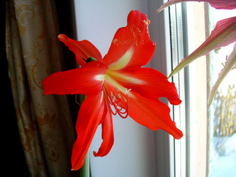 Similar image 21804779