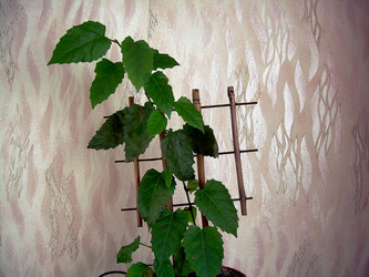 Similar image 21804783