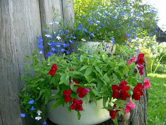 Similar image 21804784