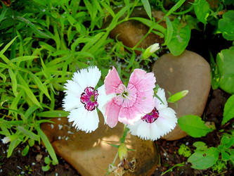 Similar image 21804786