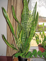 Similar image 21804787