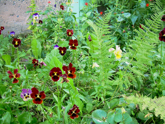 Similar image 21804788