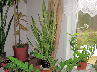 Similar image 21804789