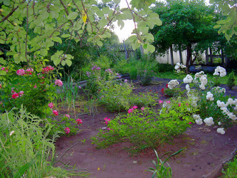 Similar image 21804796