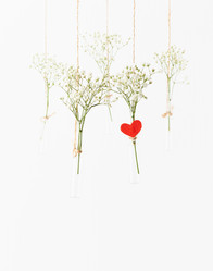 Similar image 21806719