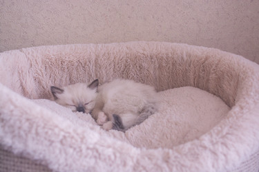 Similar image 21805228