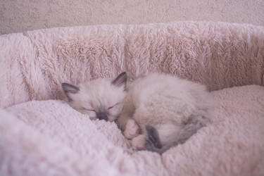 Similar image 21805229