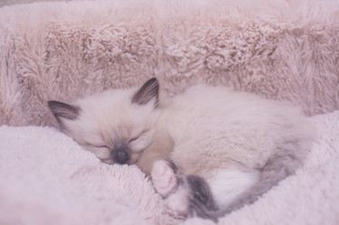 Similar image 21805230