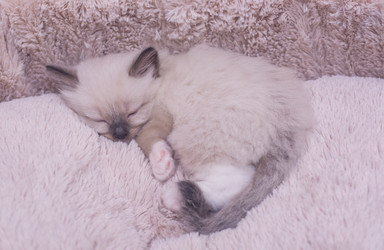 Similar image 21805231