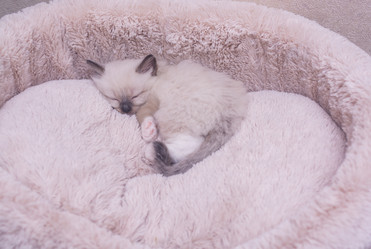 Similar image 21805232