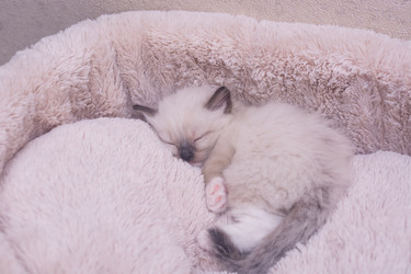 Similar image 21805233