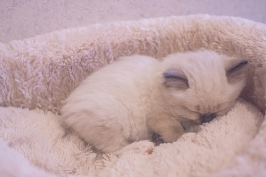 Similar image 21805234