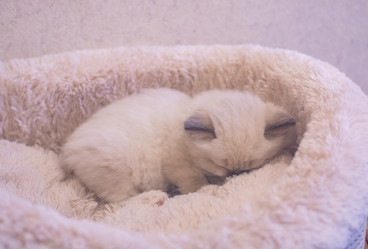 Similar image 21805235