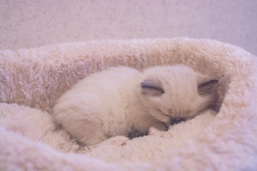 Similar image 21805236