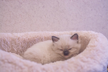 Similar image 21805237