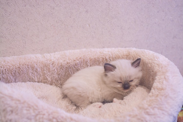 Similar image 21805239