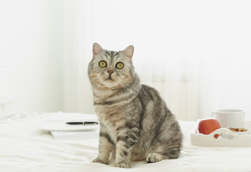 Similar image 21806809