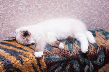 Similar image 21805244