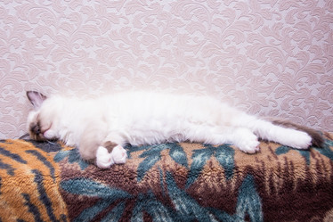 Similar image 21805245