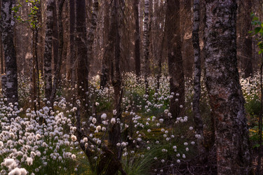 Similar image 21804642