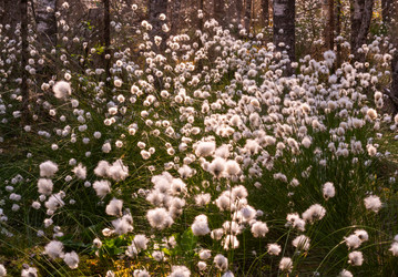 Similar image 21804643