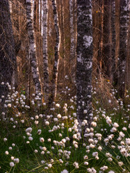 Similar image 21804644