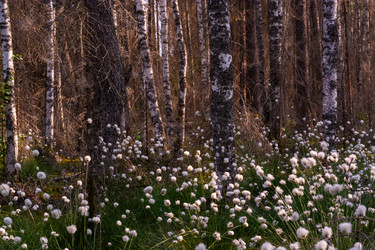 Similar image 21804645