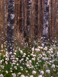 Similar image 21804646