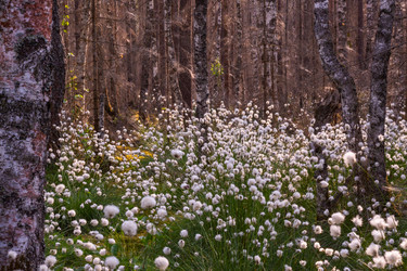 Similar image 21804647