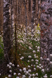 Similar image 21804648