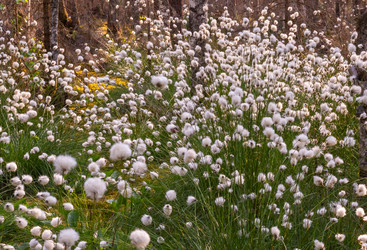 Similar image 21804649