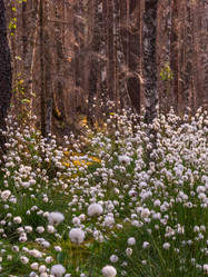 Similar image 21804650